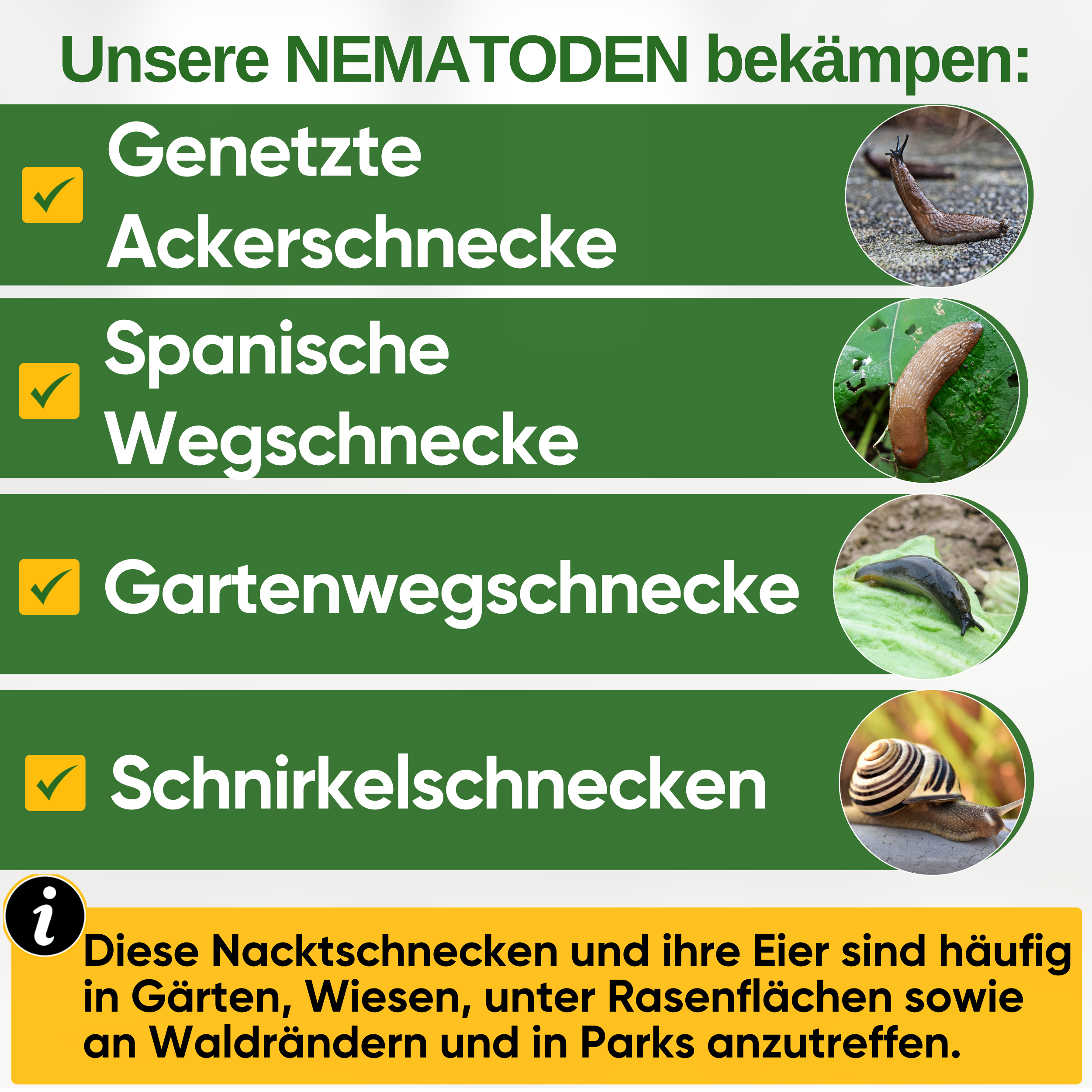 Nématodes contre tous les types d'escargots