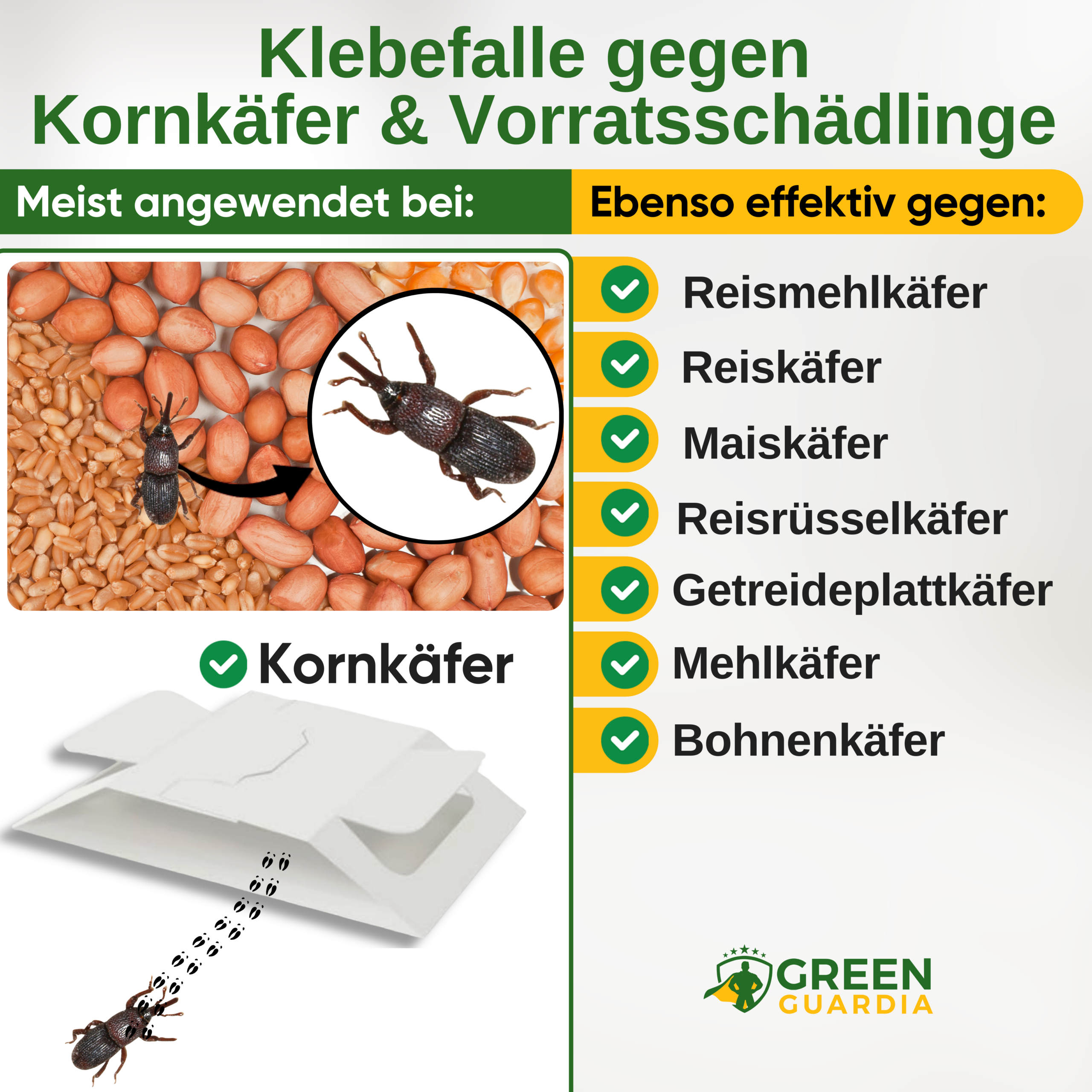 Piège à cucujides des grains avec attractif spécial