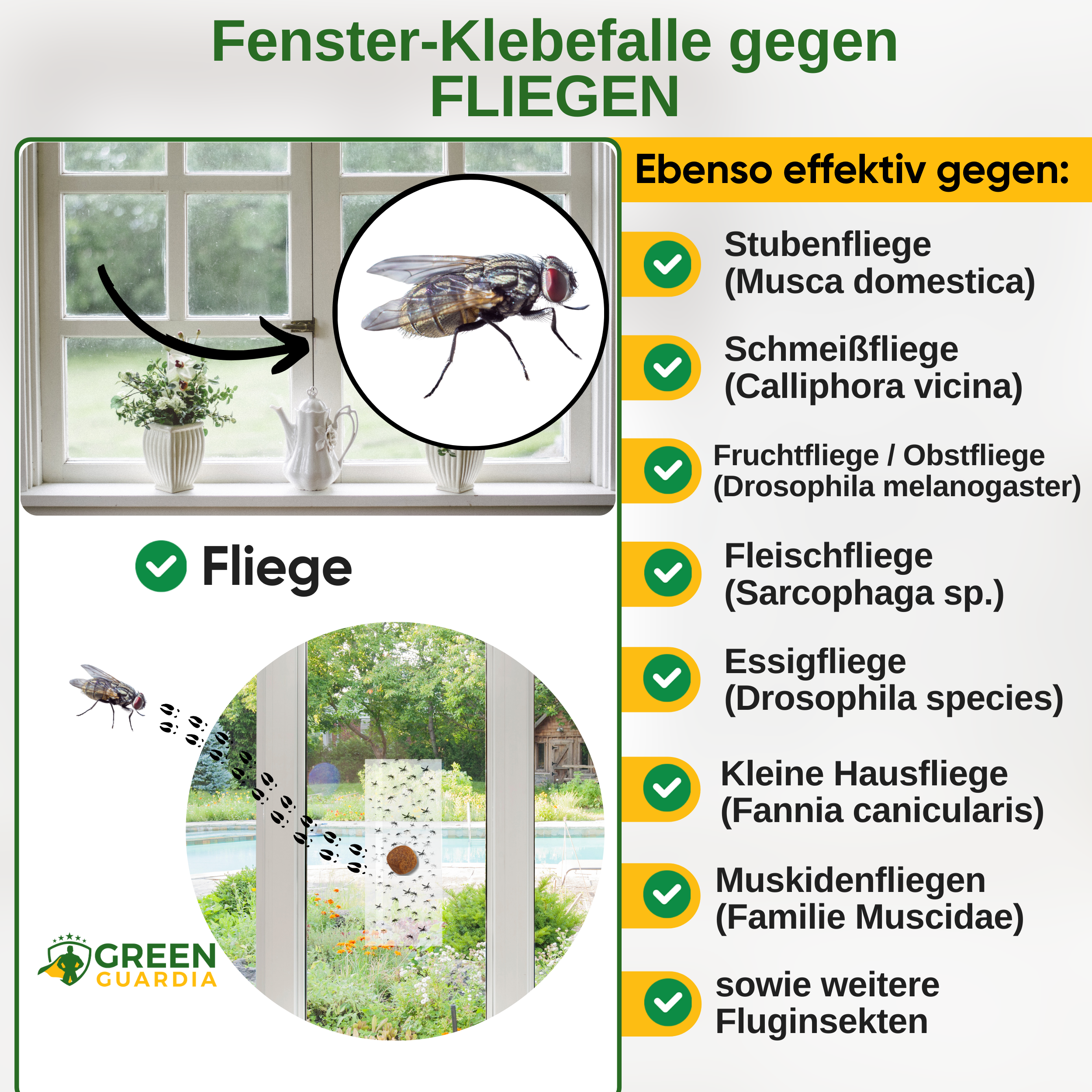 Trappola per mosche da finestra con speciale attrattivo