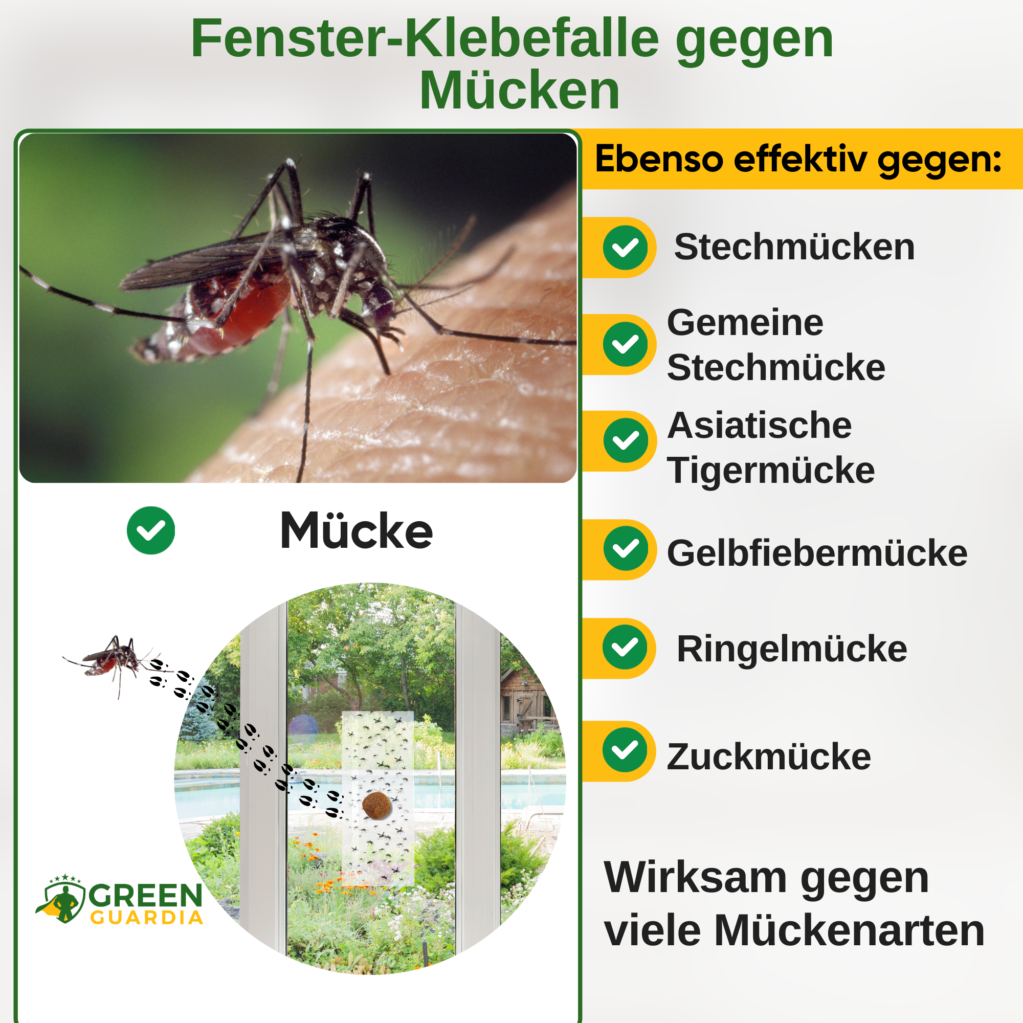 Piège à moustiques pour fenêtre avec attractif spécial