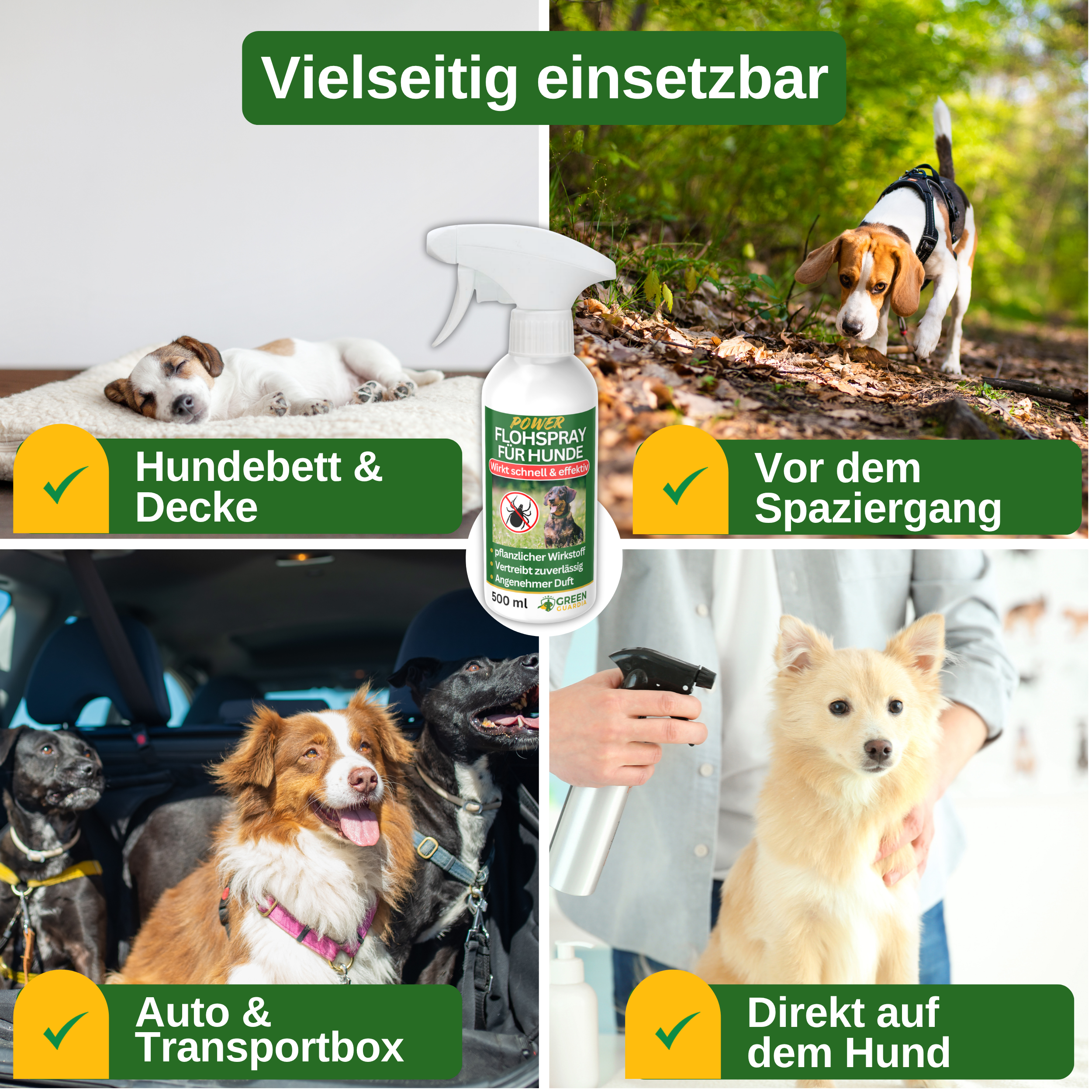 Spray anti-puces concentré pour chiens