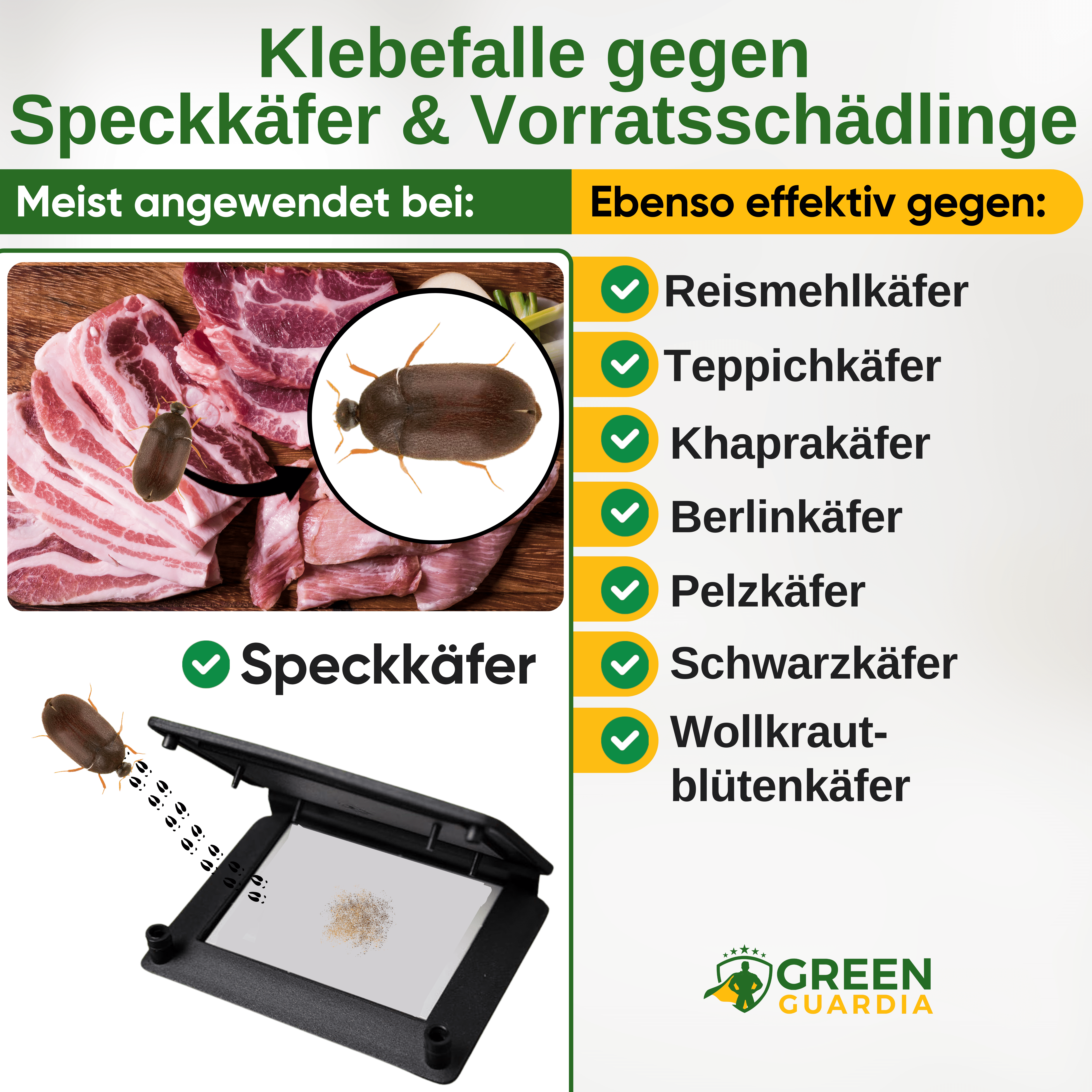 Speckkäfer Falle mit Pheromon - Lockstoff - Green Guardia - Ihr Experte für Schädlinge und Pflanzen