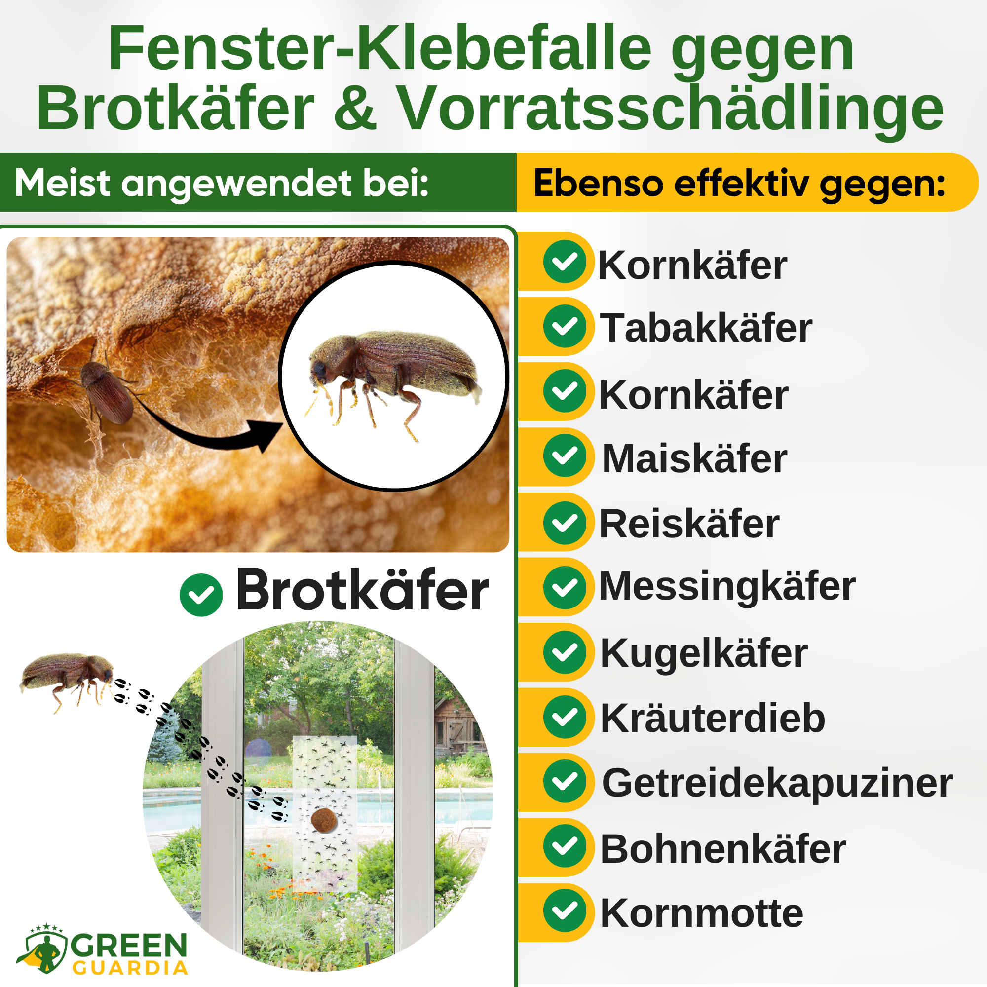 Brotkäfer Fenster-Falle mit Spezial-Lockstoff