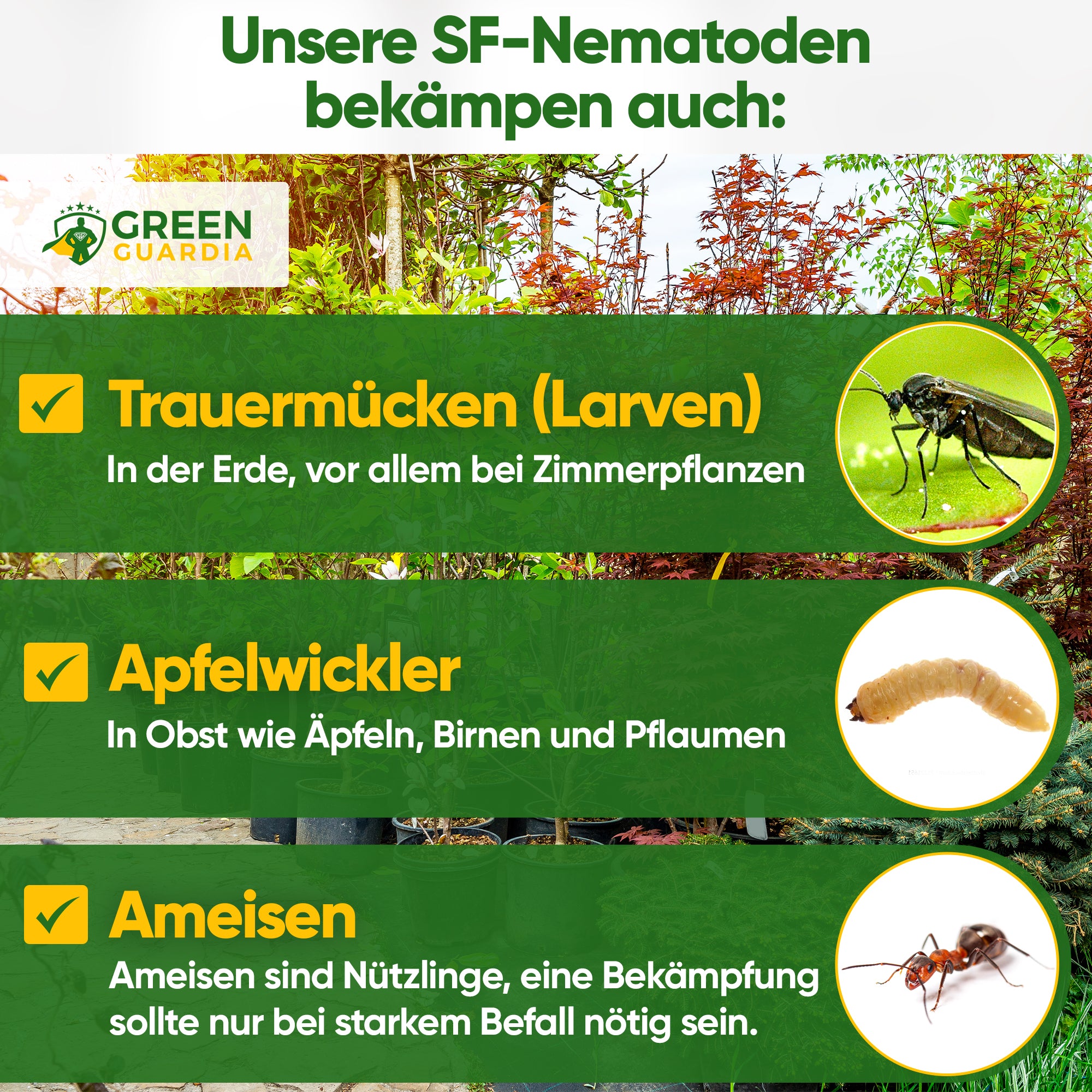 SF nematodes against fungus gnats, codling moths &amp; ants 