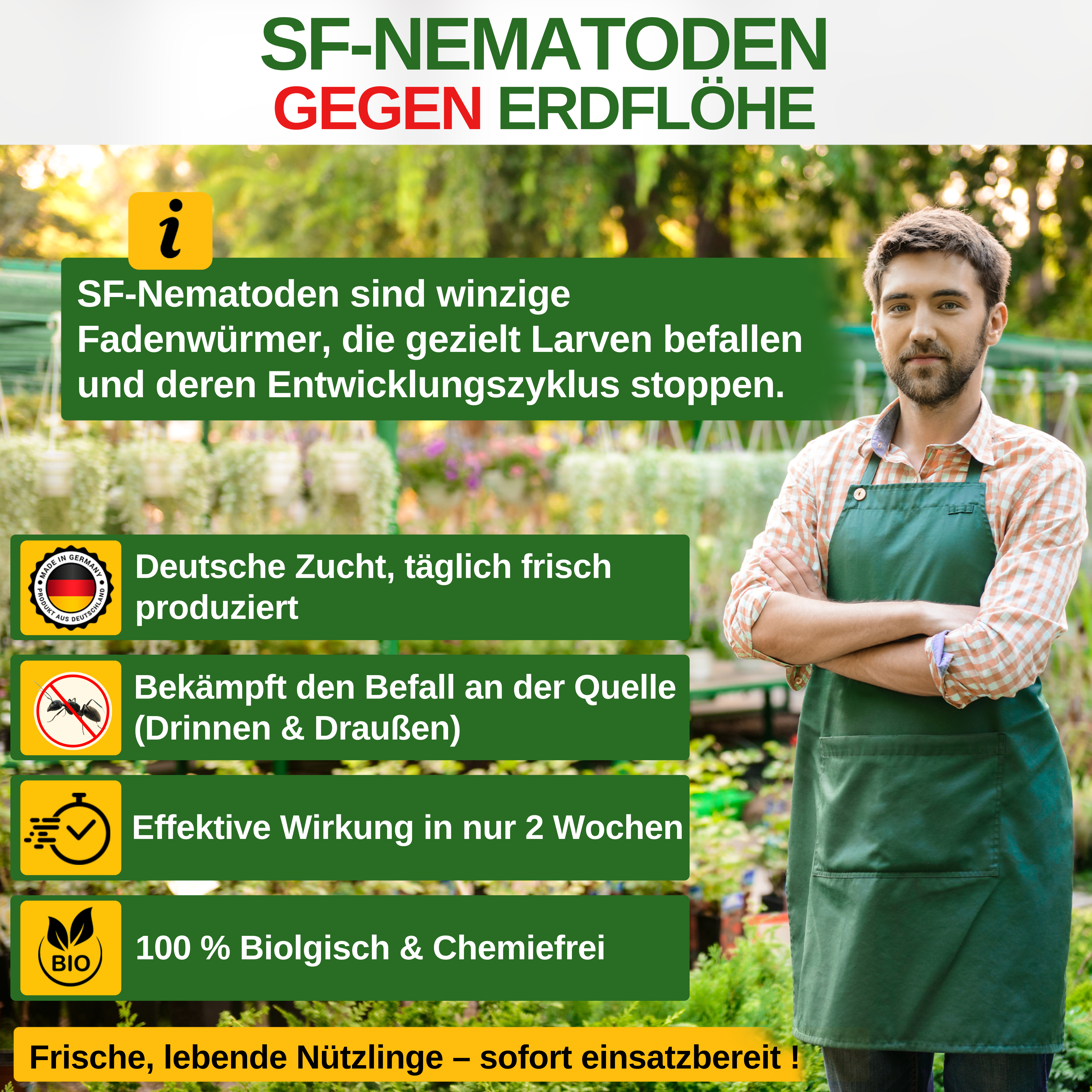 Nematodi SF contro gli alticini