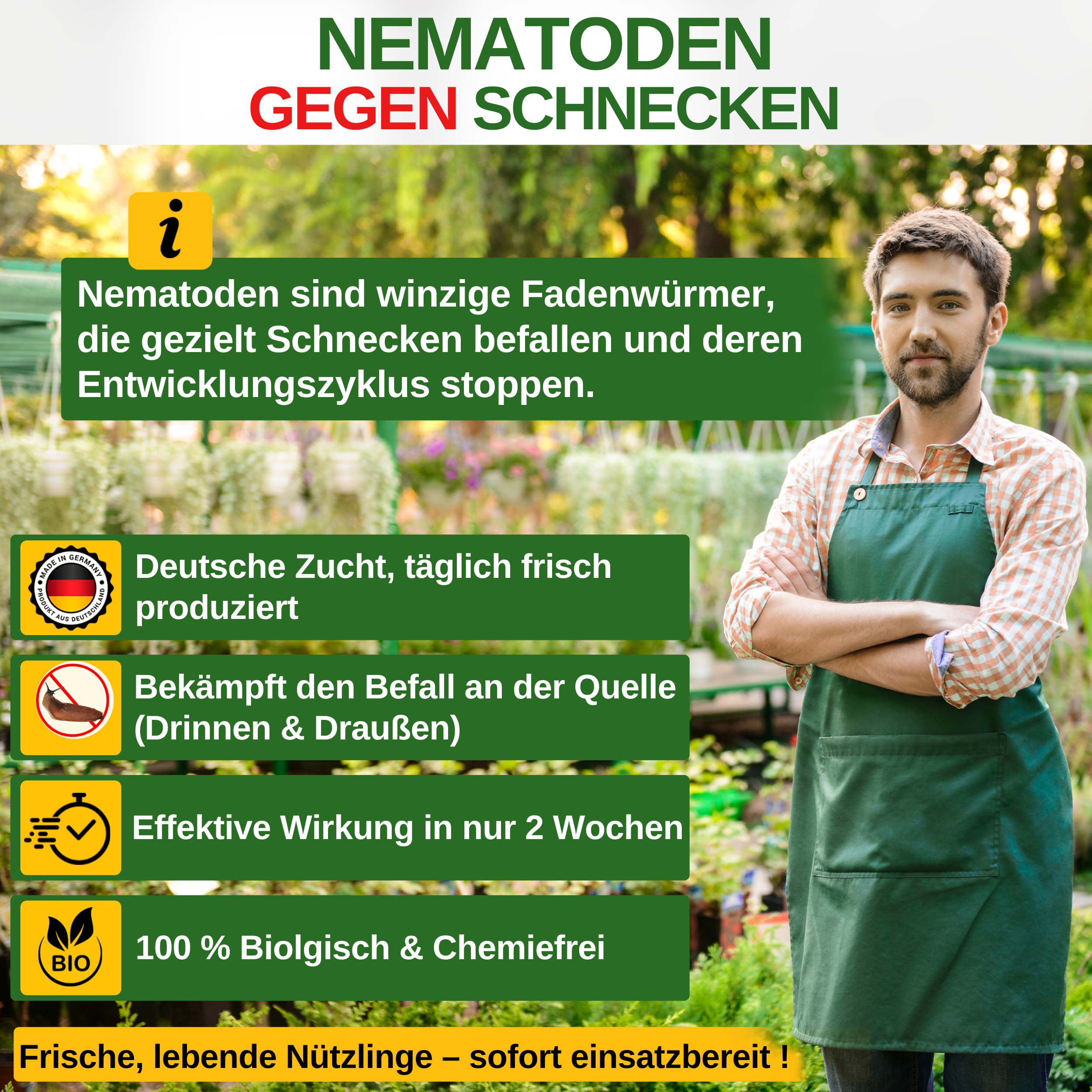 Nematodi contro tutti i tipi di lumache