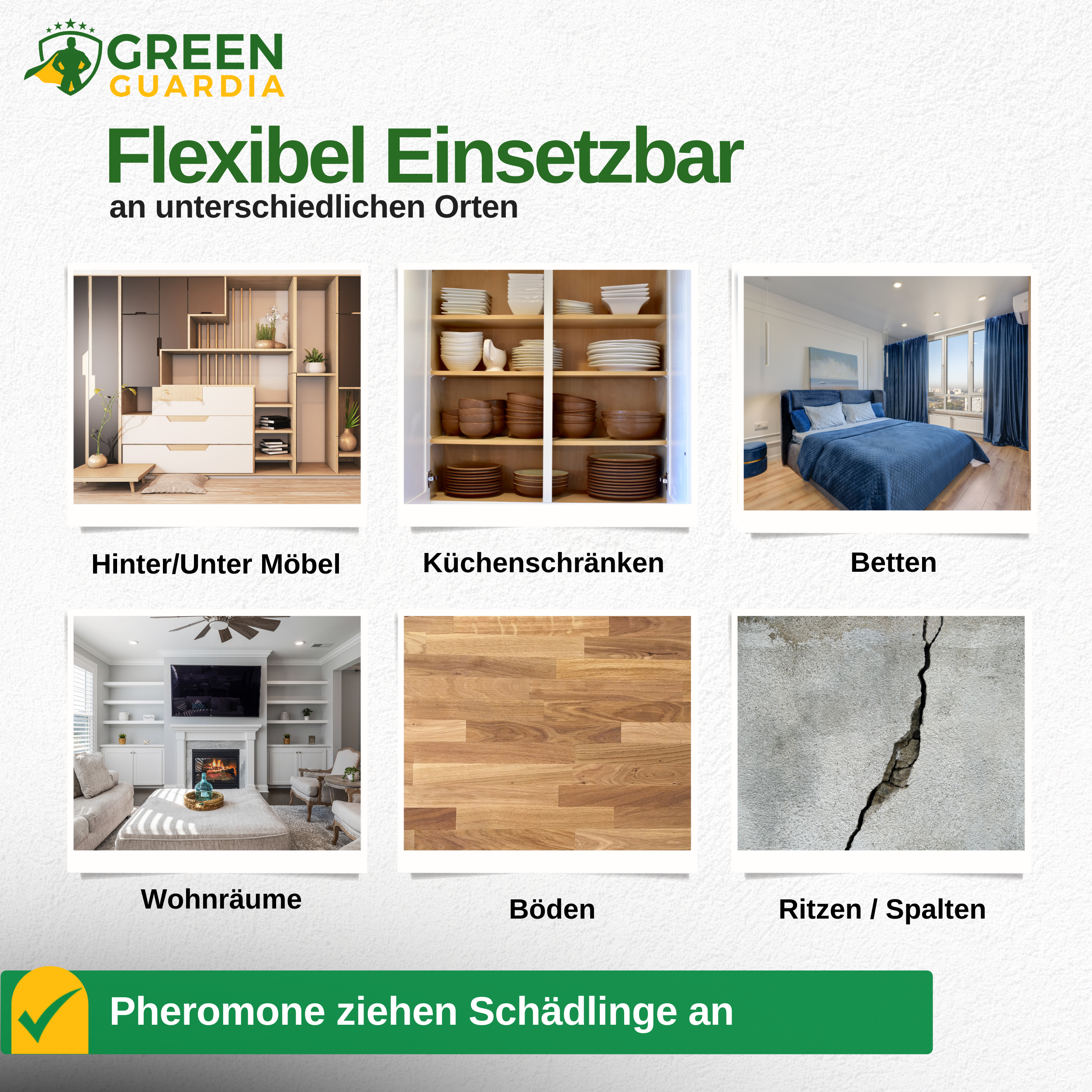 Bettwanzen Falle mit Pheromon-Lockstoff
