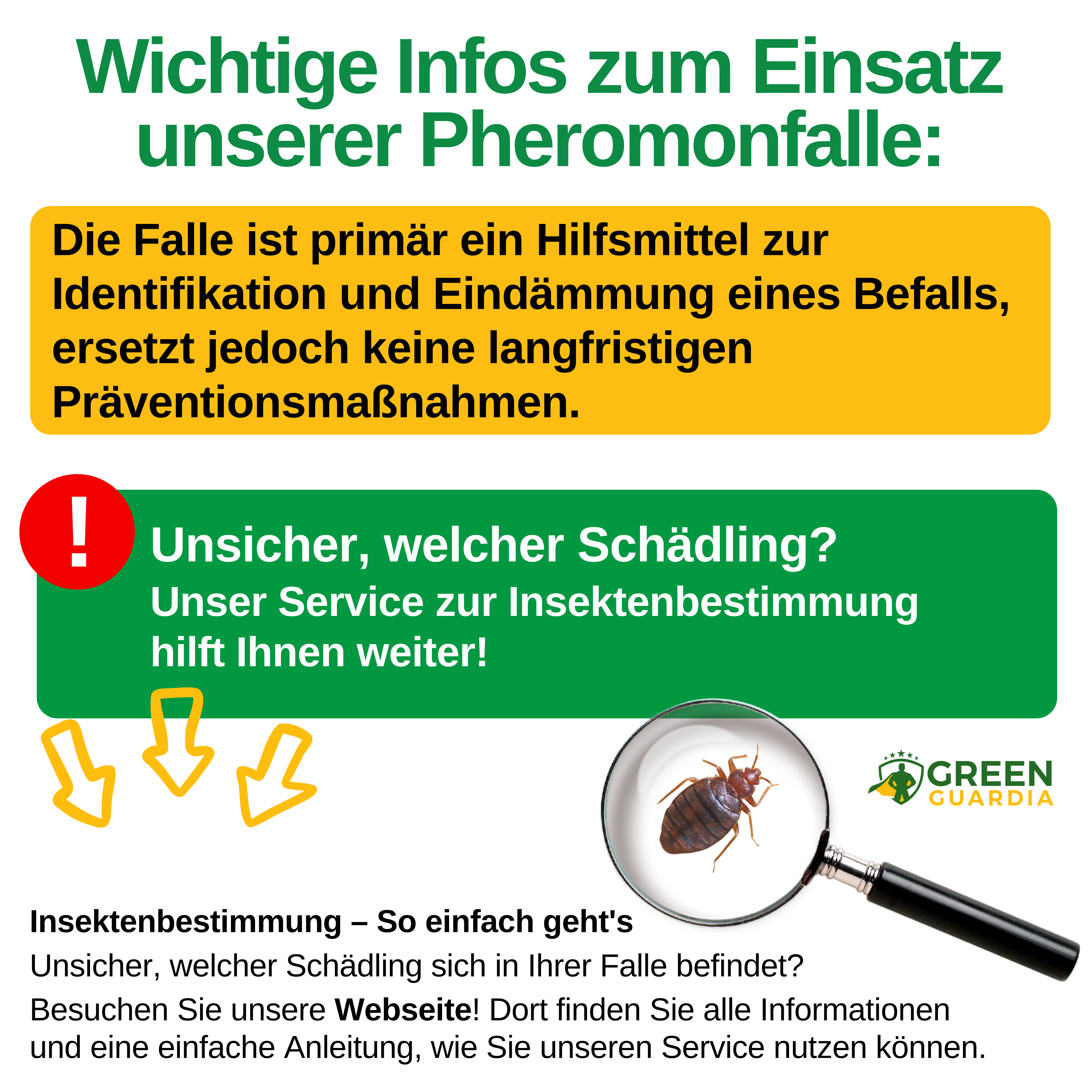 Bettwanzen Falle mit Pheromon-Lockstoff