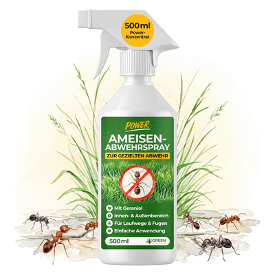 Ameisen Abwehrspray Power-Konzentrat - 500ml