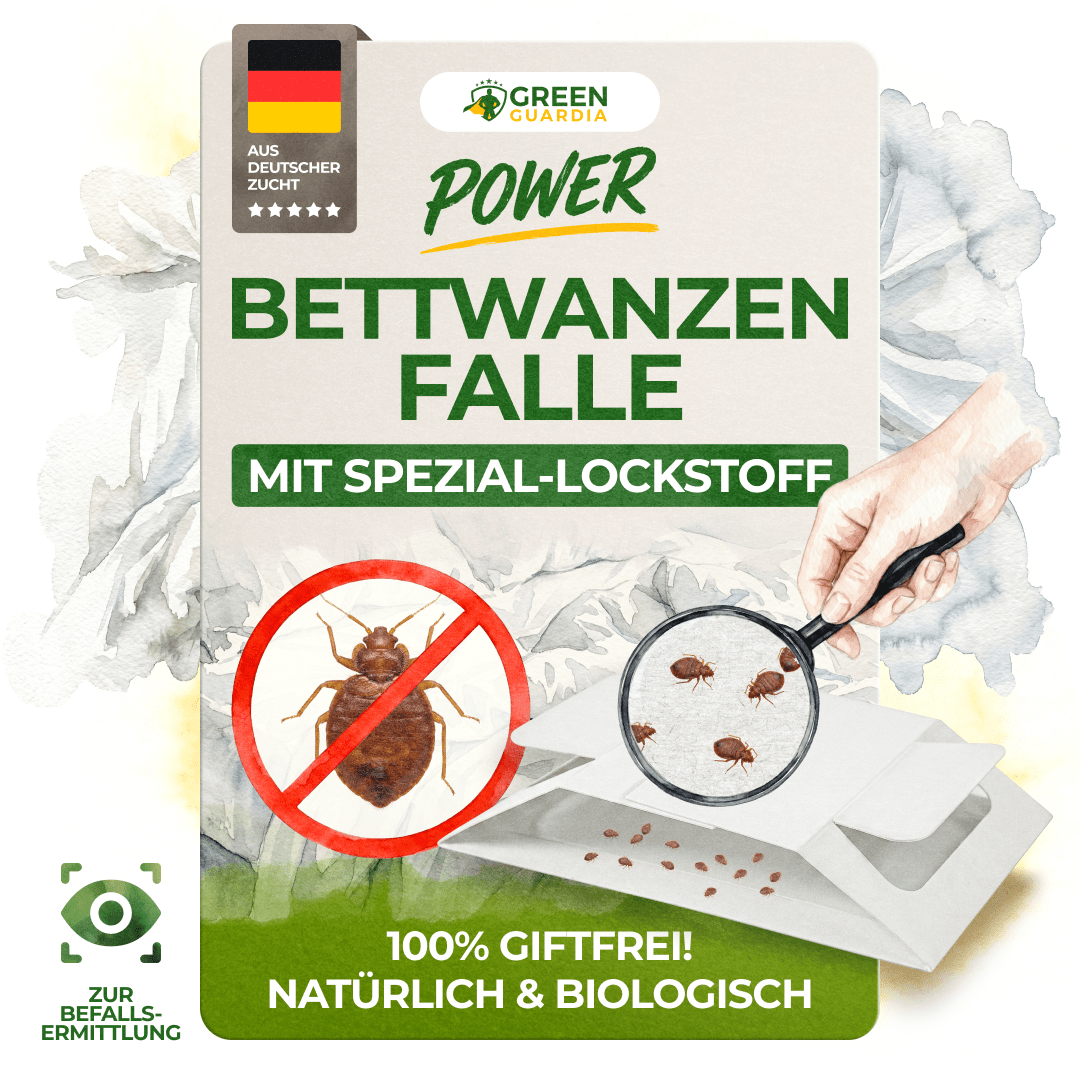 Bettwanzen Falle - Green Guardia - Ihr Experte für Schädlinge und Pflanzen