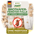 Bread beetle window trap