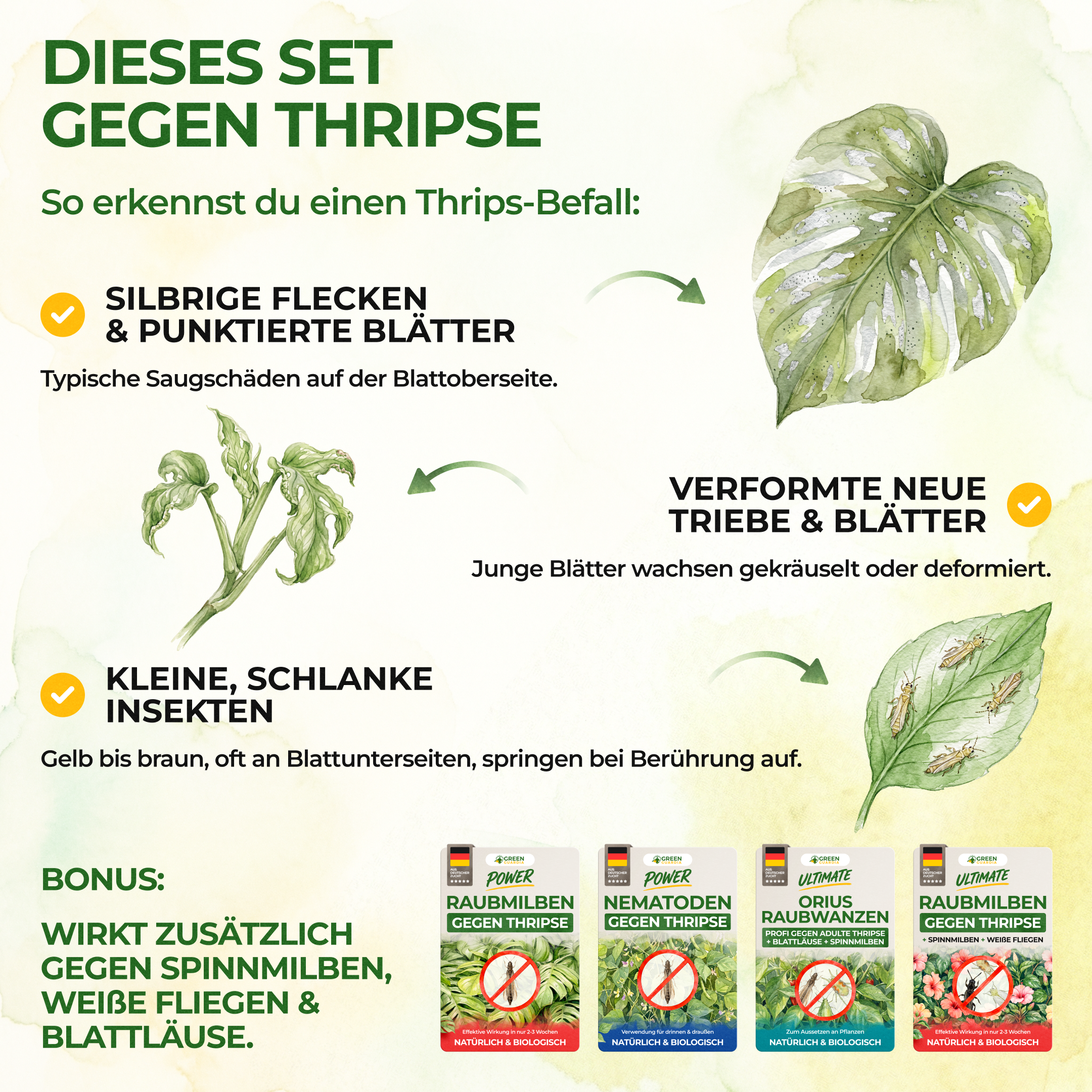 Thripse-Frei Bundle zur Soforthilfe