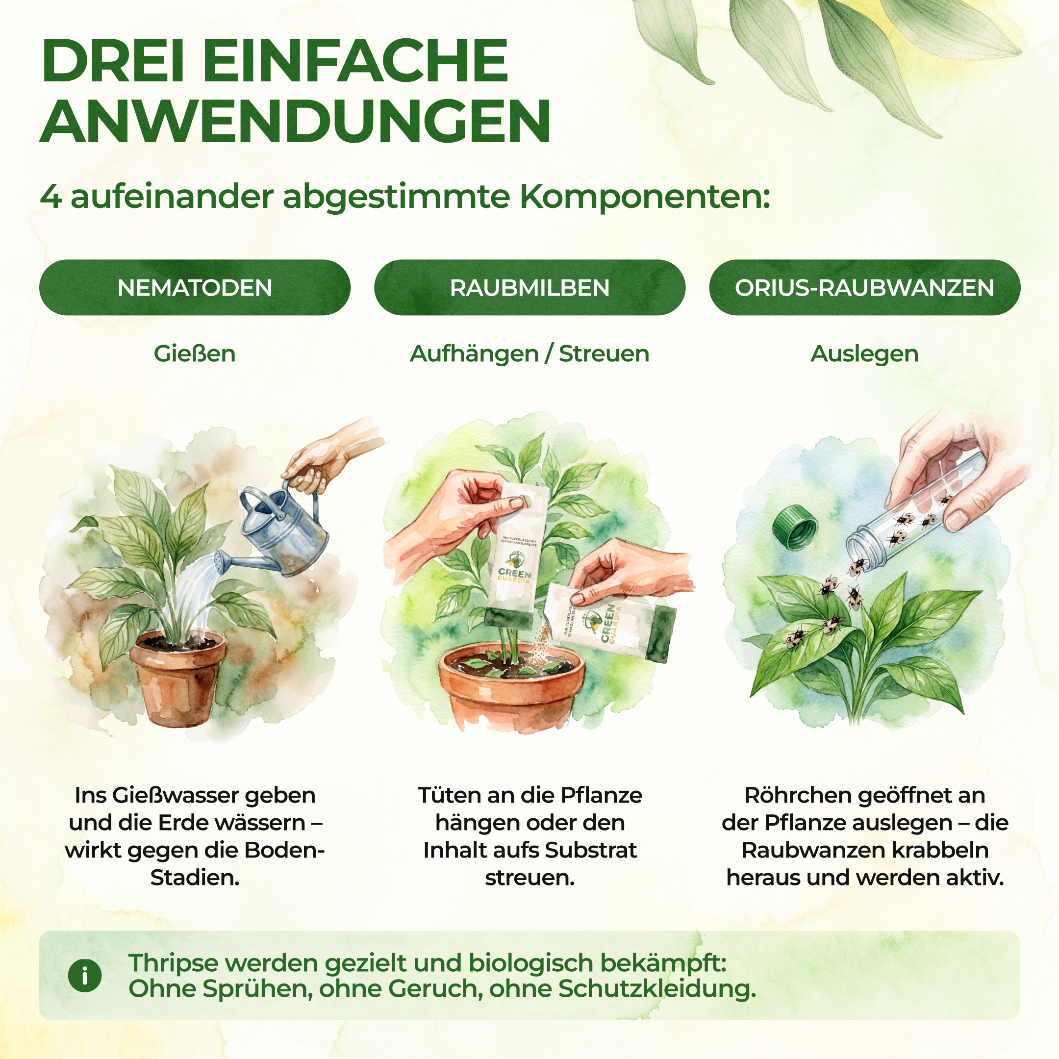 Thripse-Frei Bundle zur Soforthilfe