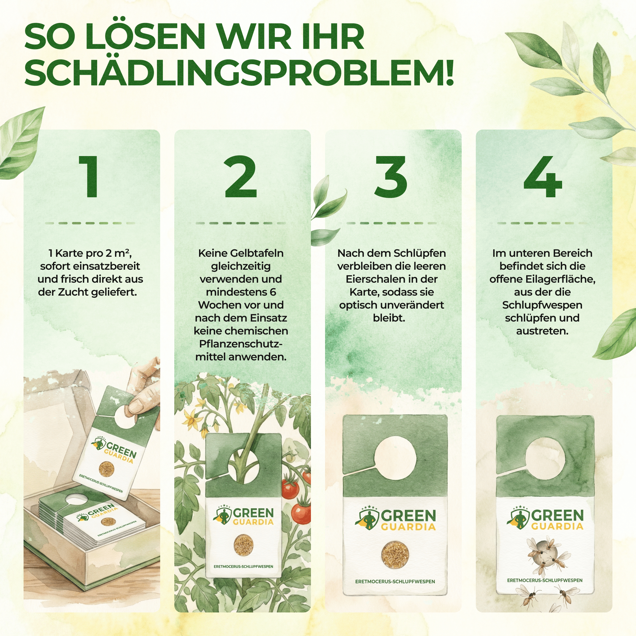 Encarsia - Schlupfwespen gegen Weiße Fliegen - Green Guardia - Ihr Experte für Schädlinge und Pflanzen