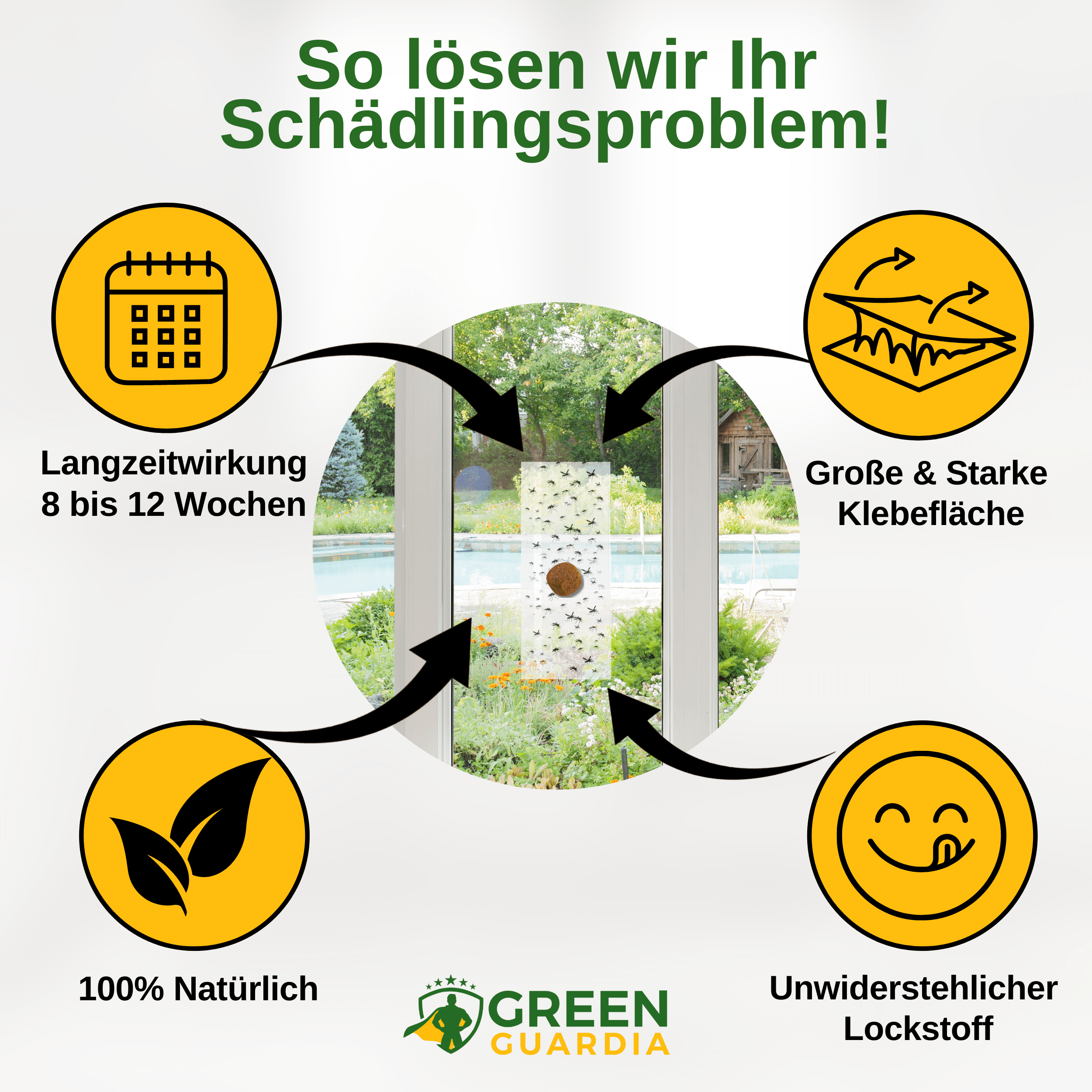 Fliegen Fenster - Falle mit Spezial - Lockstoff - Green Guardia - Ihr Experte für Schädlinge und Pflanzen
