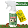 Spray anti-puces concentré pour chiens 