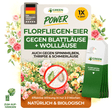 Œufs de larves de chrysopes contre les pucerons, cochenilles à suspendre 
