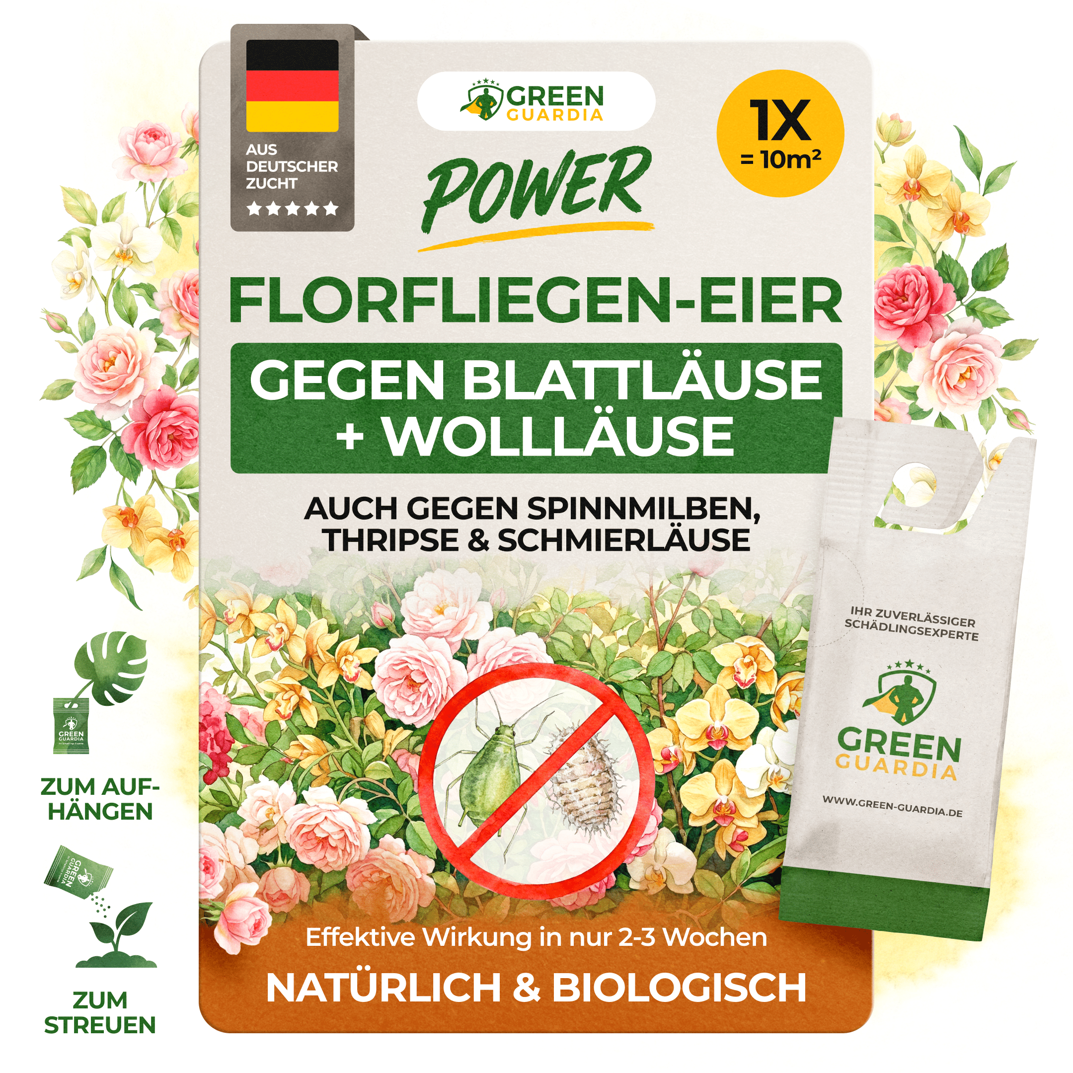 Florfliegenlarven - Eier gegen Blattläuse, Wollläuse - Green Guardia - Ihr Experte für Schädlinge und Pflanzen