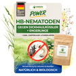 Nématodes HB contre les charançons noirs de la vigne et les larves 