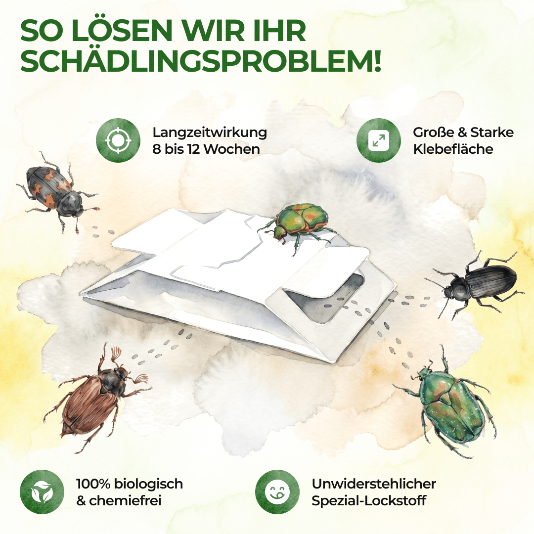 Käfer Falle - Green Guardia - Ihr Experte für Schädlinge und Pflanzen