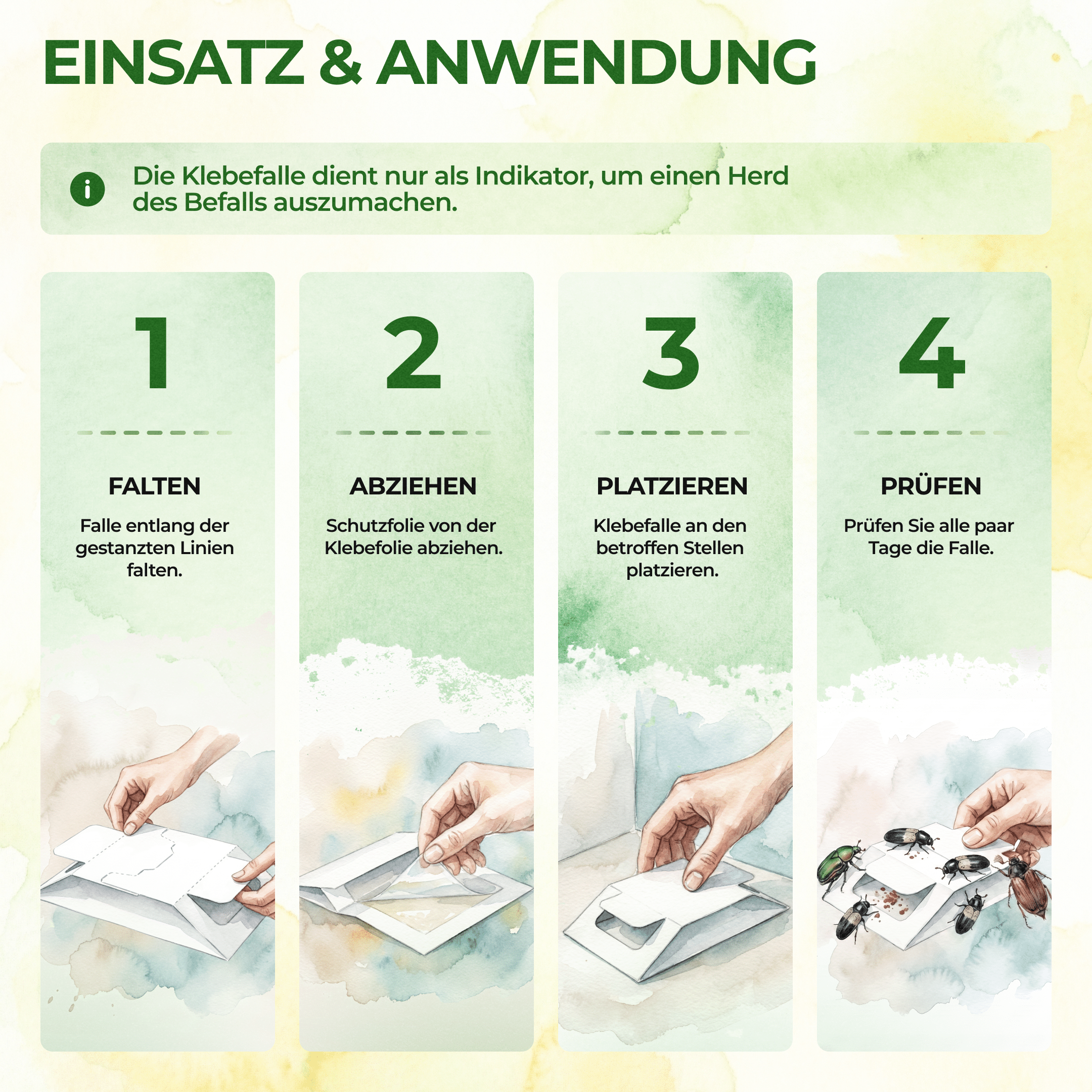 Käfer Falle - Green Guardia - Ihr Experte für Schädlinge und Pflanzen
