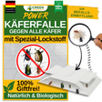 Piège à coléoptères avec attractif spécial 