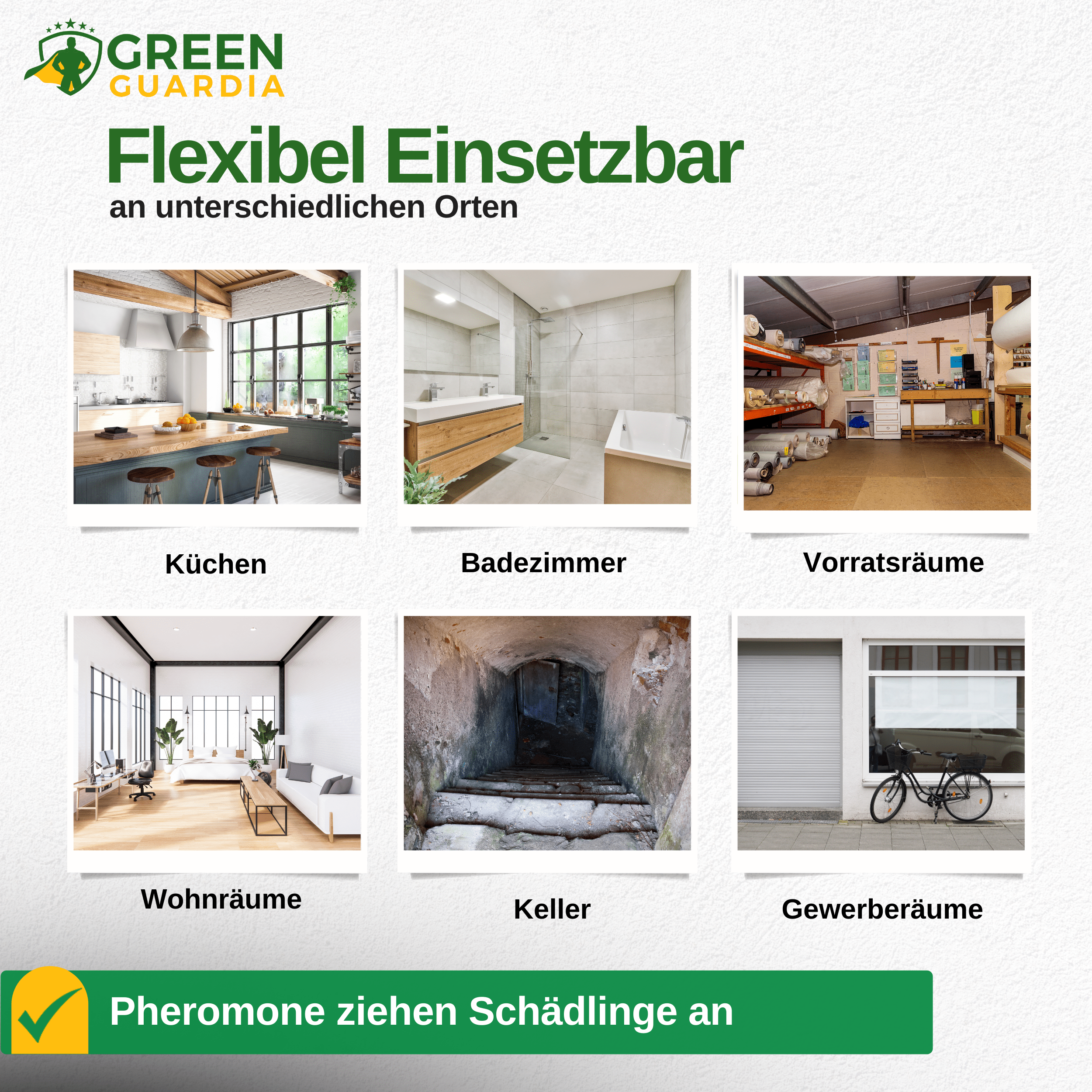 Kakerlaken / Schaben Falle mit Spezial - Lockstoff - Green Guardia - Ihr Experte für Schädlinge und Pflanzen