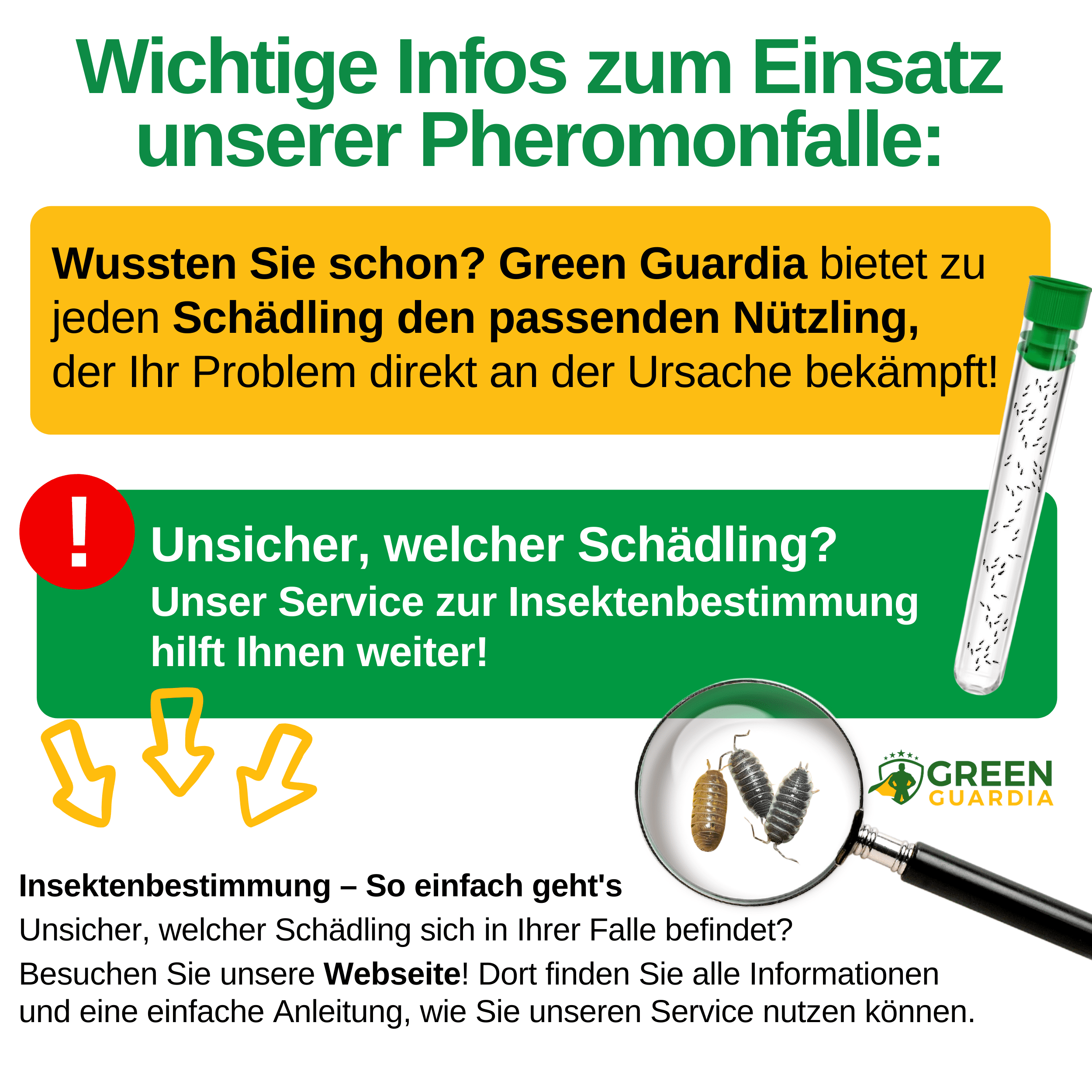 Kellerasseln Falle mit Pheromon - Lockstoff - Green Guardia - Ihr Experte für Schädlinge und Pflanzen