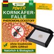 Piège à cucujides des grains avec attractif à base de phéromones 
