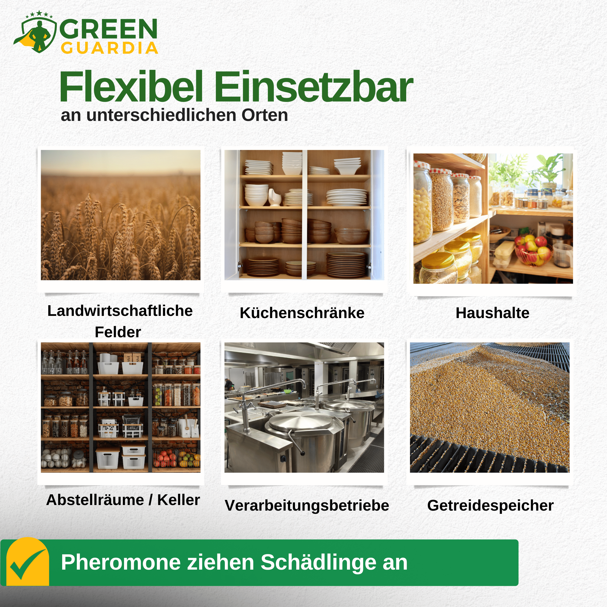 Pheromon - Lockstoff Ersatzfolien für Klebefallen (3x Stück) - Green Guardia - Ihr Experte für Schädlinge und Pflanzen