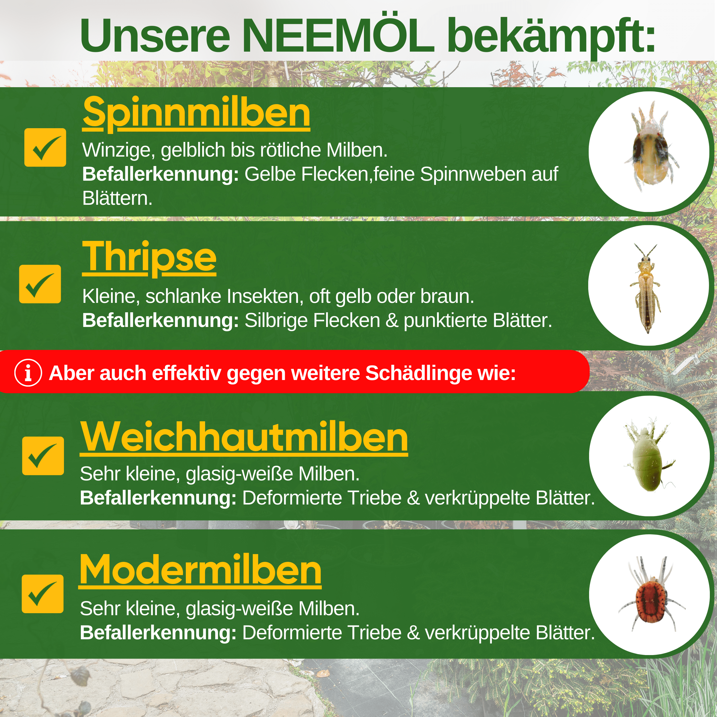 Power Neemöl gegen Spinnmilben - Green Guardia - Ihr Experte für Schädlinge und Pflanzen