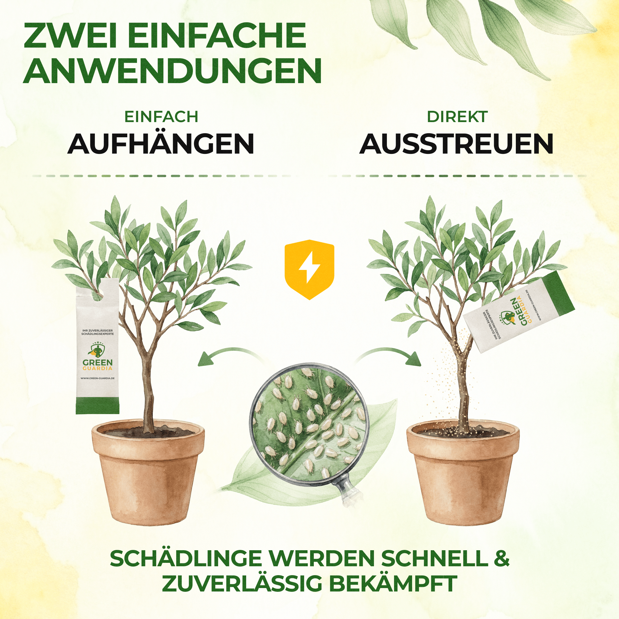 Raubmilben gegen Thripse - Green Guardia - Ihr Experte für Schädlinge und Pflanzen