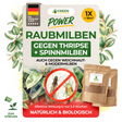 Mélange d'acariens prédateurs contre les thrips et les tétranyques – produit en vrac 