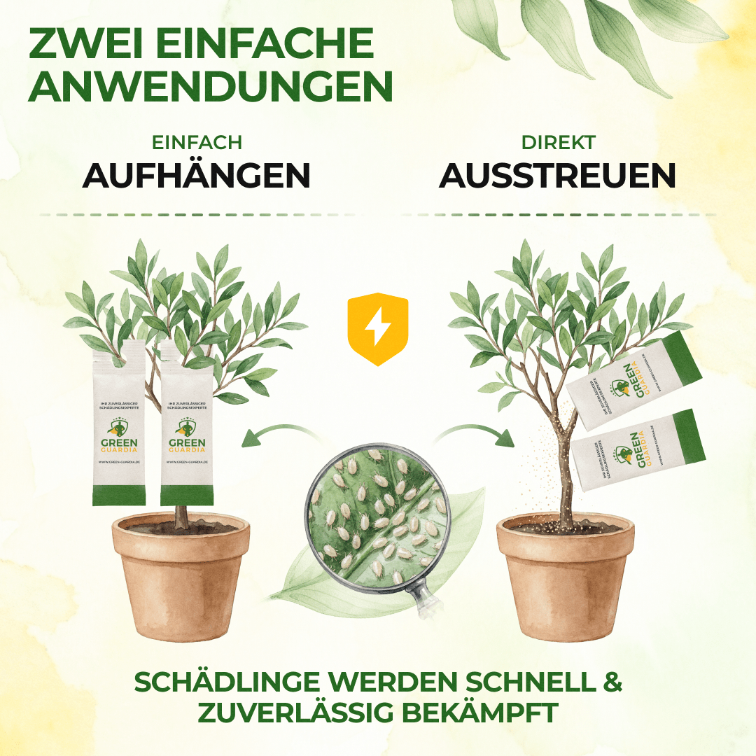 Raubmilben Mix gegen Thripse & Spinnmilben - Green Guardia - Ihr Experte für Schädlinge und Pflanzen