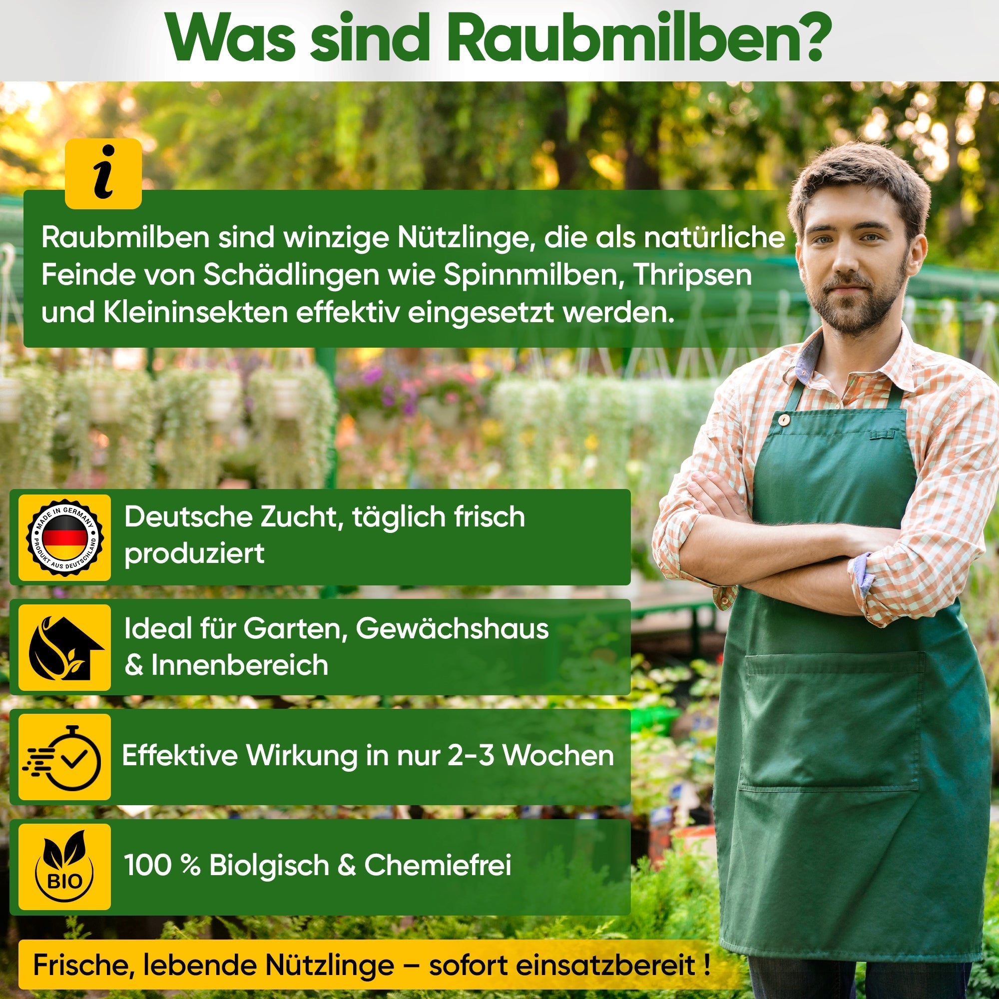 Raubmilben Mix gegen Thripse & Spinnmilben – Streuware - Green Guardia - Ihr Experte für Schädlinge und Pflanzen
