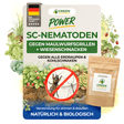 Nématodes SC contre les courtilières, les sauterelles et les vers gris 