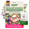 Guêpes parasites contre la teigne des prunes 