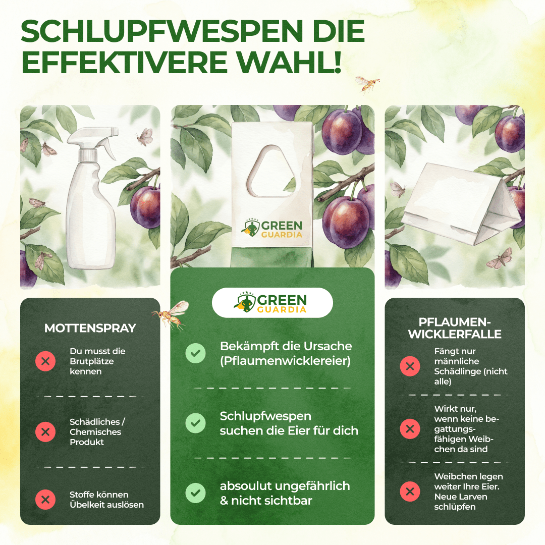 Schlupfwespen gegen Pflaumenwickler - Green Guardia - Ihr Experte für Schädlinge und Pflanzen