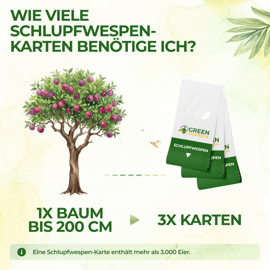 Schlupfwespen gegen Pflaumenwickler - Green Guardia - Ihr Experte für Schädlinge und Pflanzen