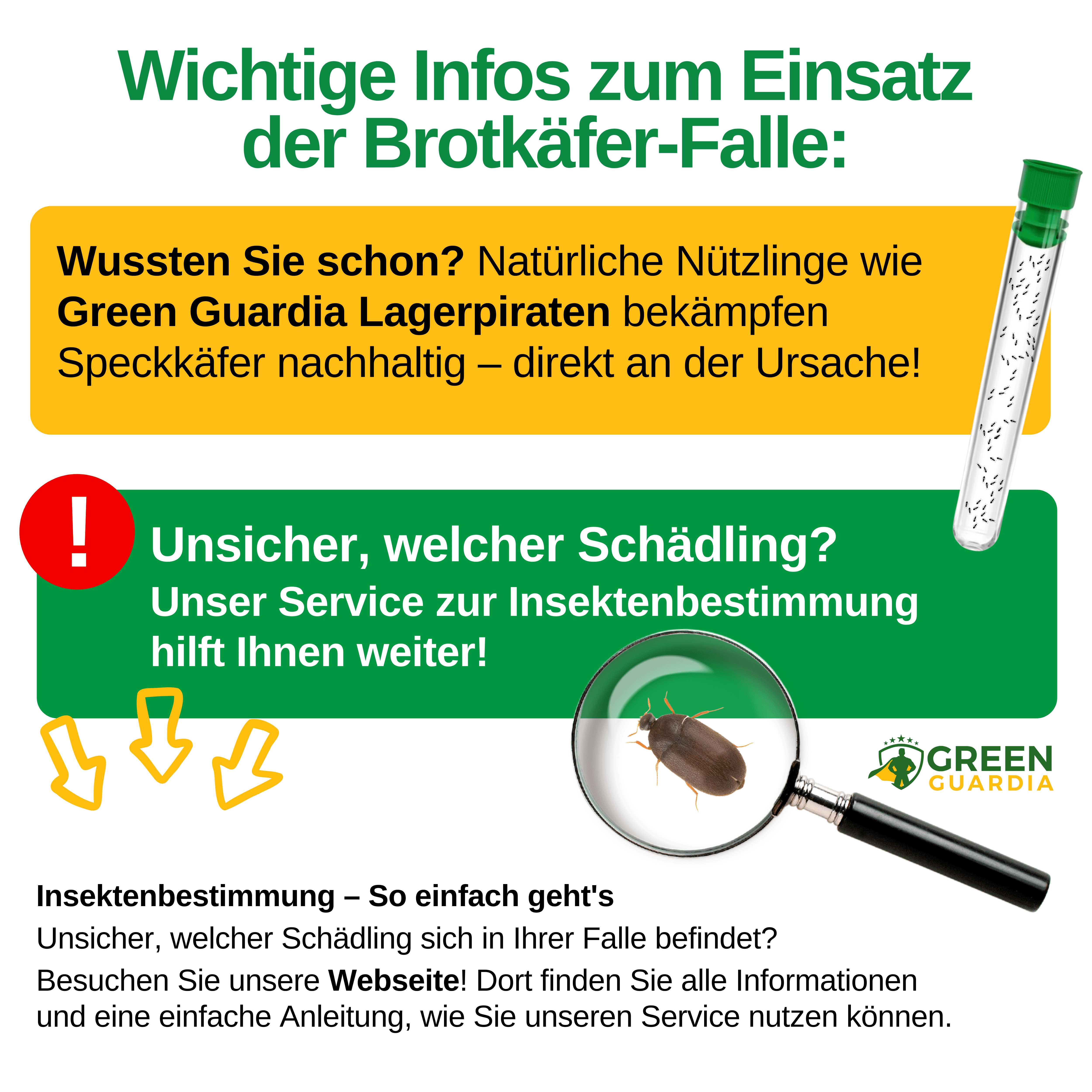 Speckkäfer Falle mit Pheromon - Lockstoff - Green Guardia - Ihr Experte für Schädlinge und Pflanzen