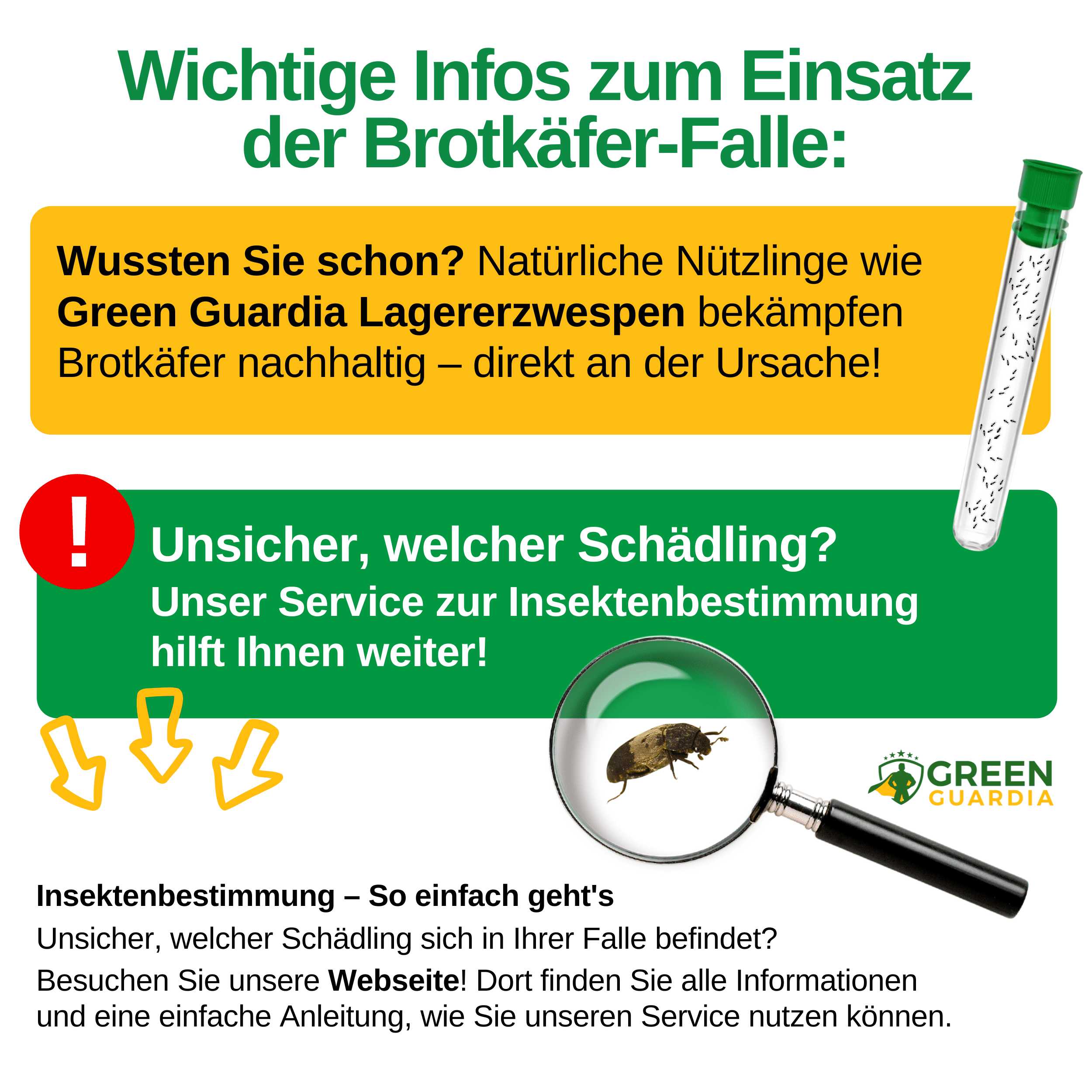 Speckkäfer Falle mit Spezial - Lockstoff - Green Guardia - Ihr Experte für Schädlinge und Pflanzen