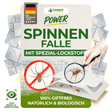 Spinnen Falle