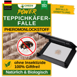 Piège à anthrènes des tapis avec attractif à base de phéromones 