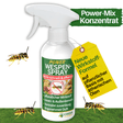 Spray répulsif concentré contre les guêpes 