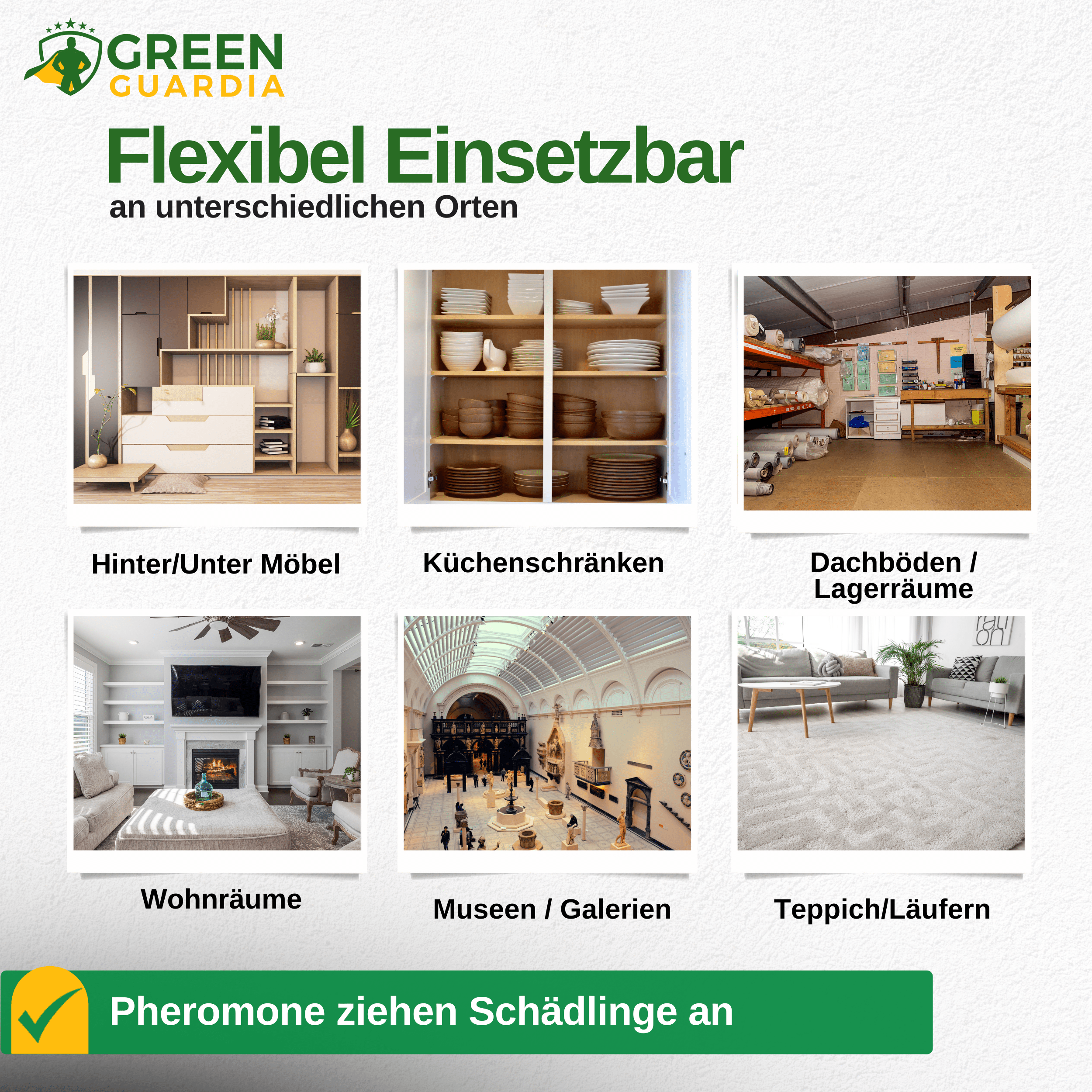 Wollkrautblütenkäfer Falle mit Pheromon - Lockstoff - Green Guardia - Ihr Experte für Schädlinge und Pflanzen