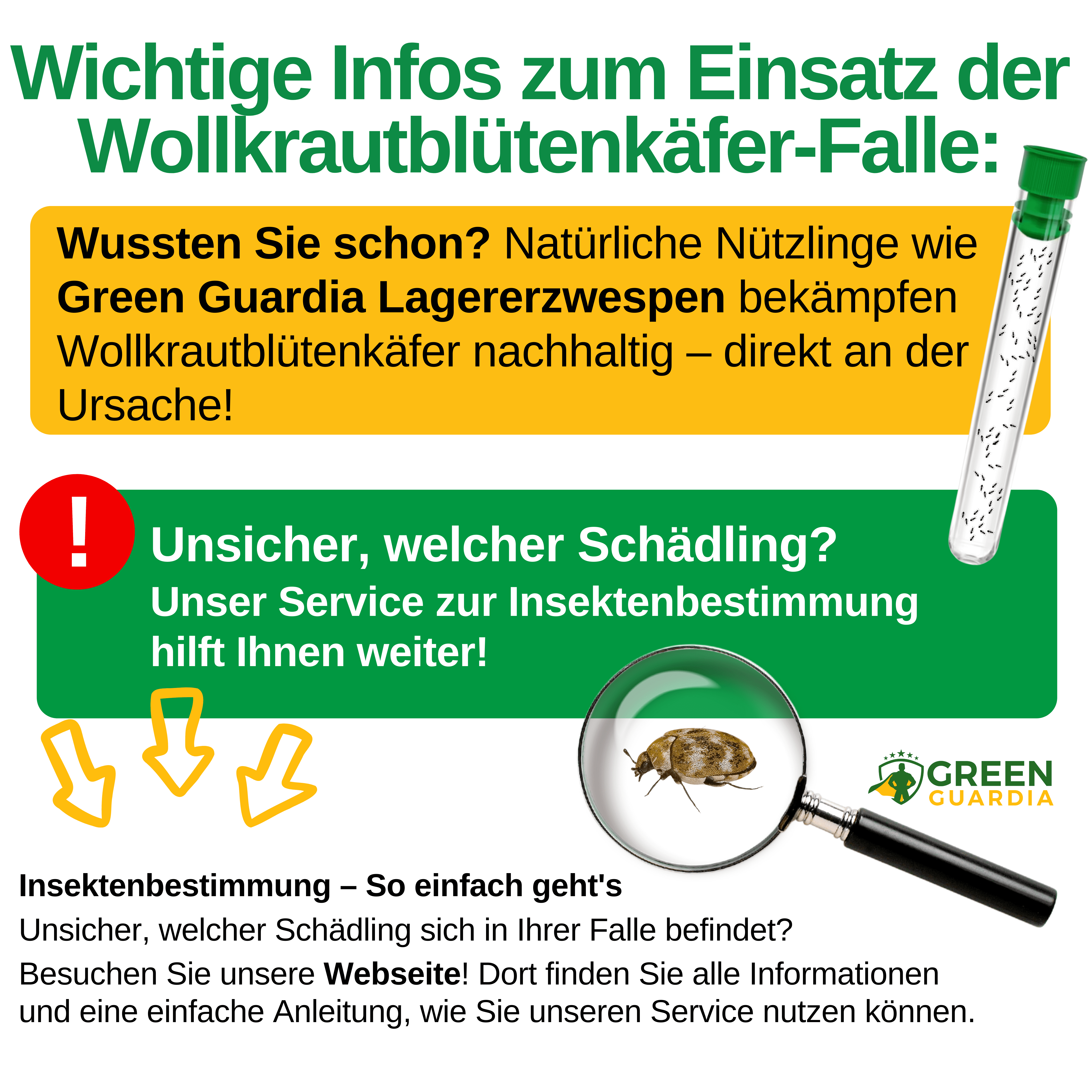 Wollkrautblütenkäfer Falle mit Spezial - Lockstoff - Green Guardia - Ihr Experte für Schädlinge und Pflanzen