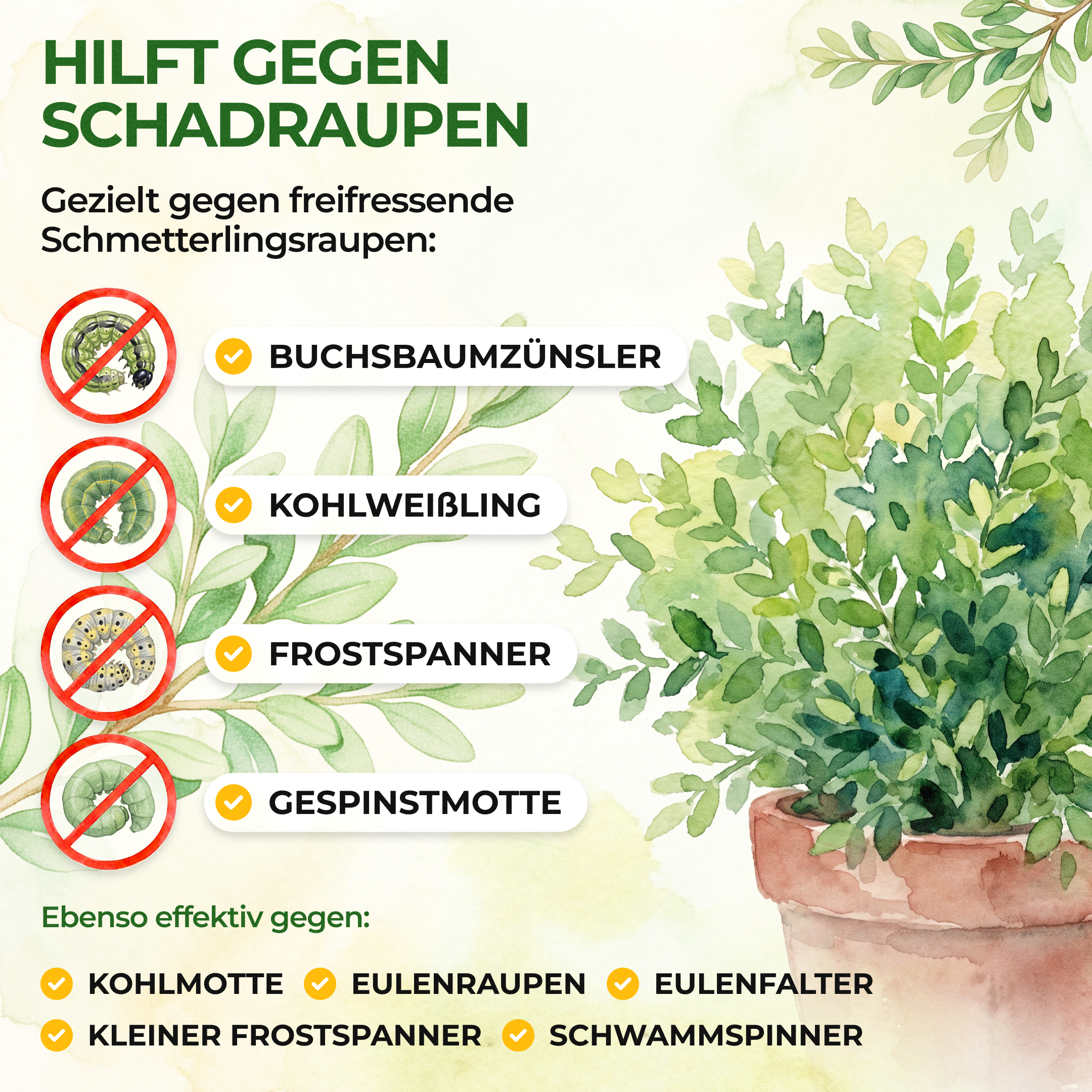 XenTari® Zünslerfrei & Raupenfrei, 2 x 3g