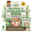 XenTari® Anti-pyrale & anti-chenilles, 2 x 3 g